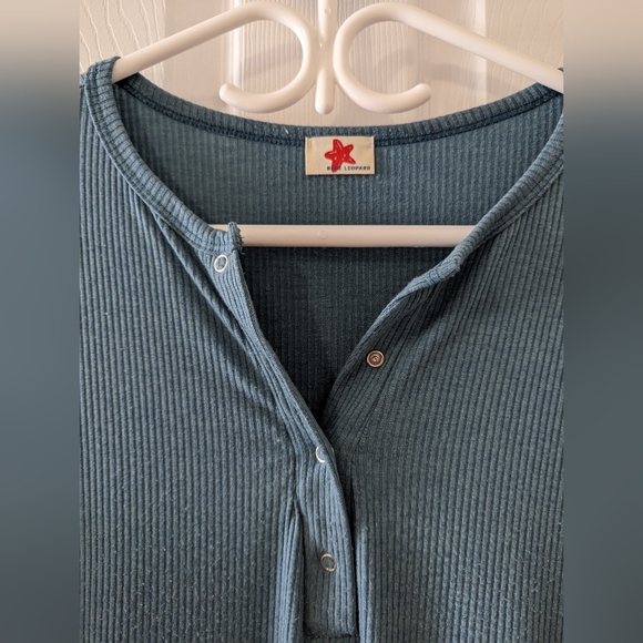 Plus Size Blue Leopard Dress - Picture 2 of 3